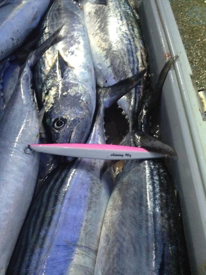 鐵板路亞釣魚餌