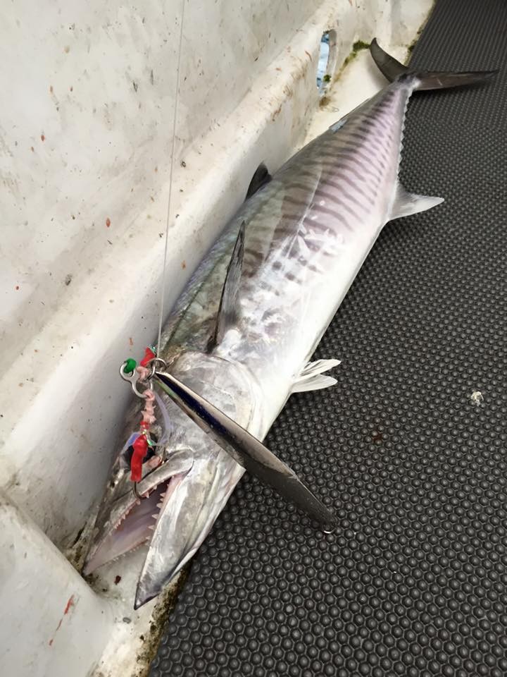 鐵板路亞釣魚餌